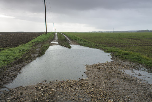 Big Puddle near Bilsby Farm © J.Hannan-Briggs :: Geograph Britain and ...