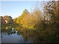 Pond, Park Farm Village Green