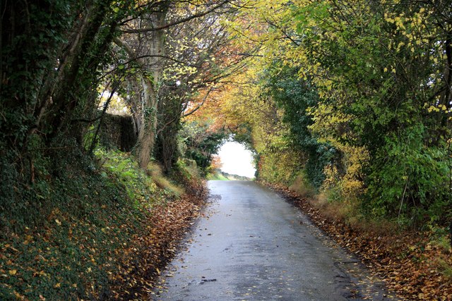 The road up Peakley Hill