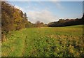 Frome Valley Walkway