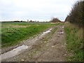 Farmland near Lyne Down