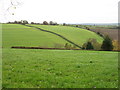 Farmland on Marcle Hill