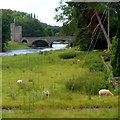 Glan Usk bridge and Tower Lodge in the Glanusk Estate NW of Crickhowell