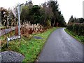 Coach Road, Magheracolton