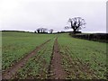 A gentle slope, Magheracolton