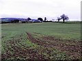 Magheracolton Townland