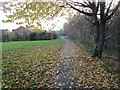 Footpath - Park View