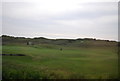 TQ9519 : Rye Golf Club by N Chadwick