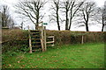 Footpath and Stile