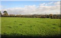 Field, Parkgate Farm