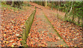 J4078 : Autumn leaves, Glenlyon, Holywood (3) by Albert Bridge
