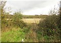 Gate at Lyde Green