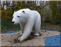 Polar bear