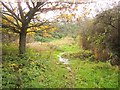 Path, Lyde Green