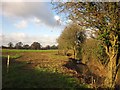 Tributary of the Folly Brook