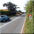 Mirror in a hedge alongside the A358