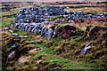 F6307 : Achill Island - Deserted Village - Cottage Ruins by Joseph Mischyshyn