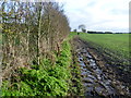 A muddy footpath to Wye Downs