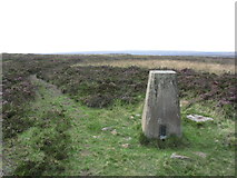 SD9735 : Trig point at Withins Slack, Stanbury Moor by Colin Park