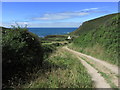 Track leading down to Blackpool Mill near Hartland