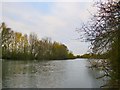 View upstream towards Laleham