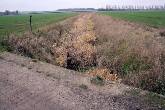 View along ditch from track east of Warborough