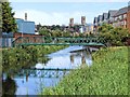 River Witham, Lincoln