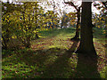 Path across the golf course