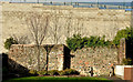 The town wall, Carrickfergus (8)