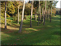 Puttenham Golf Course