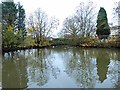 Duckpond by Eland Hall Farm