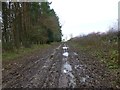 A muddy public bridleway