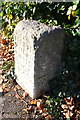 Benchmarked boundary stone, Warneford Lane