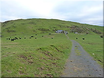SN6497 : Bwlch-y-llan fields and farm buildings by Richard Law