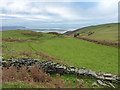 Fields above Esgair-gefeiliau