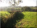 Field boundary above Mill Brook valley