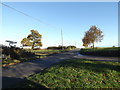 TM2893 : Church Road, Bedingham by Geographer