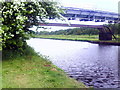 Services bridges over the Aire and Calder Navigation