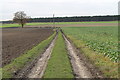 SK8496 : Farm track off Blyton Road by J.Hannan-Briggs