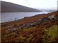 Fank (sheepfold) to north west of Lochrosque Lodge