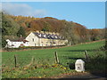 Field, houses and woodland around The Swartle