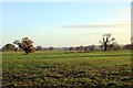 Farmland at Townsend Farm