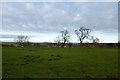 Farmland outside Huggate