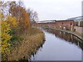 Canal Scene