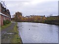 Towpath View