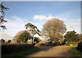 Hawkchurch Cross