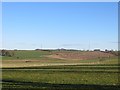 Fields, Castlebrocket