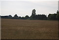 Farmland by Whitbread Lane