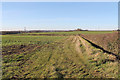 TF0508 : Hedge and fields near Folly Farm by J.Hannan-Briggs