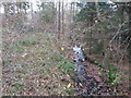 Hindley Burn from Hindley Bridge in Hindley Hall Woods